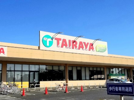 ӊ@X[p[ 1600m TAIRAYA_X