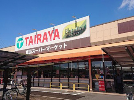 ӊ@X[p[ 1100m TAIRAYAHX