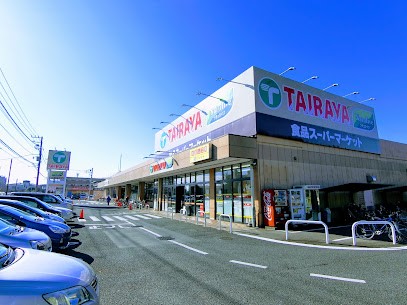 ӊ@X[p[ 600m TAIRAYAX