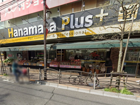 ӊ@X[p[ 800m Hanamasa Plus nX