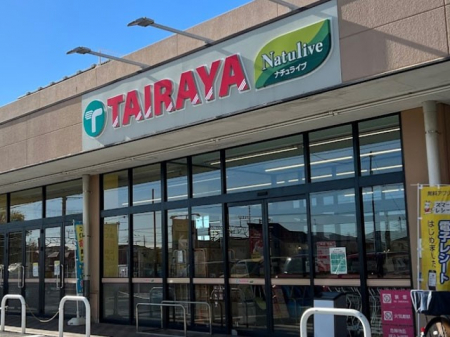 ӊ@X[p[ 600m TAIRAYA X